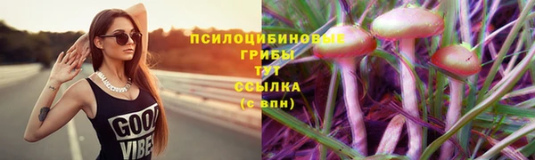 трава Бронницы