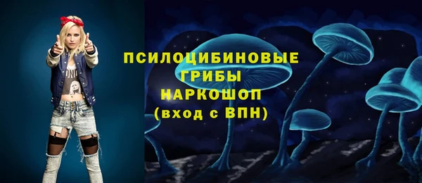 прущие грибы Бородино