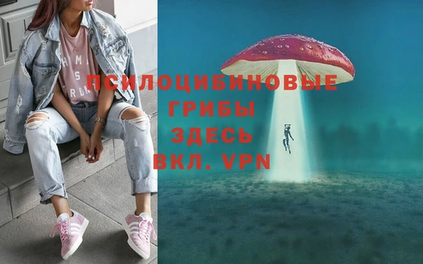 Альфа ПВП Арсеньев
