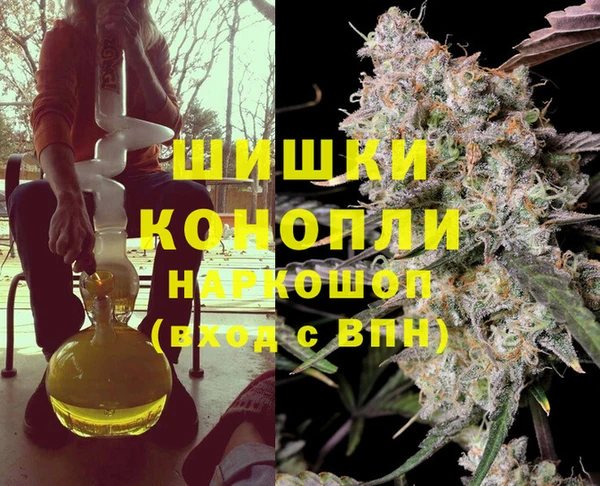 ГАЛЛЮЦИНОГЕННЫЕ ГРИБЫ Покровск